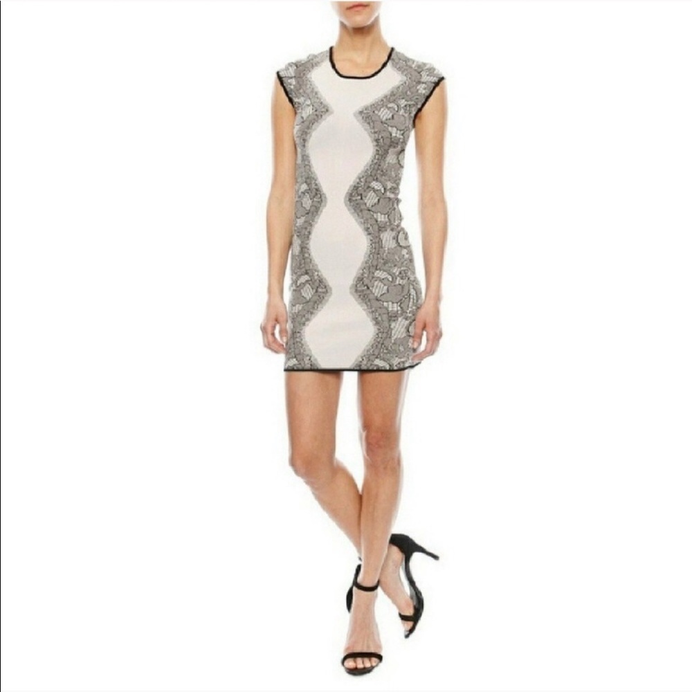 Blush Bodycon knit stretch dress